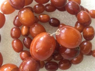 Vintage Antique Egg Yolk Butterscotch Baltic Amber Olive Beads 29”Necklace 37.  4g 6