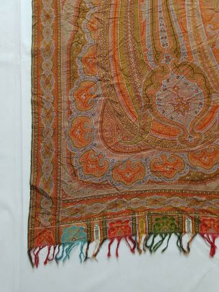 Antique French Paisley Kashmiri Shawl Woolen Multi Color 331x156cm 5