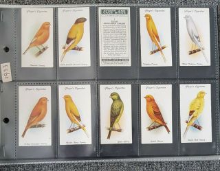 Cigarette Cards - Players - Aviary & Cage Birds - Full Set 50 - Vg - Ex