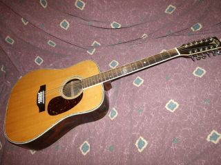 Vintage ca 1980 Aria Pro II PW - 40 - 12 Acoustic Guitar VG 12 string Matsumoku 3
