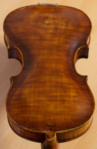 Very Old Labelled Vintage Violin " Dominicus Montagnana " Fiddleァイオリン Geige 1101