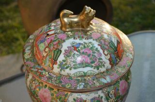 Antique 19th C Chinese Foo Dog Lid Flower Porcelain Covered Ceremony Jar Urn 2