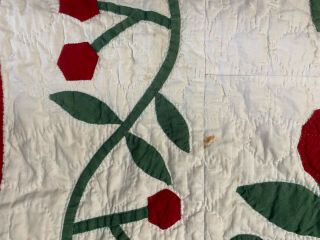 Antique 1880 ' s handmade red,  green and white floral appliqué quilt 6