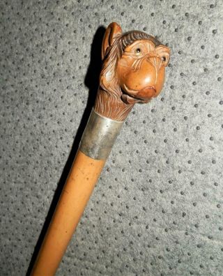 Antique Monkey Head Gadget Glove Holder Walking Stick W/ H.  M Silver Collar 1905