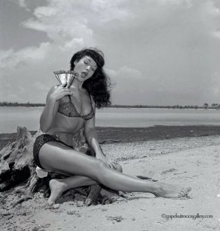 Pin - Up Bettie Page 1954 Camera Negative Bunny Yeager Estate Unpublished