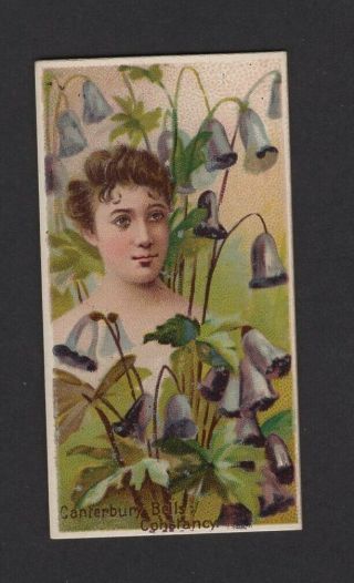 1892 W.  Duke Sons & Co.  Floral Beauties & Flowers N75 Canterbury Bells