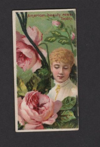 1892 W.  Duke Sons & Co.  Floral Beauties & Flowers N75 American Beauty Rose