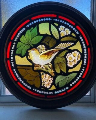 Victorian English Lead Stained Glass Window Stunning Hand Painted Bird