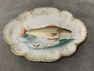 Antique Homer Laughlin China Fish Platter Tray Dated October 29th 1851 1901