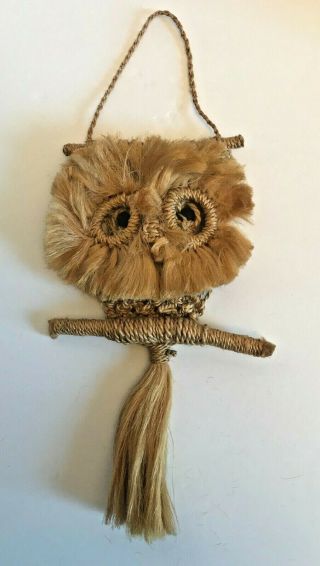 Vintage Tan Owl Macrame Boho Wall Hanging Wood Eyes Mcm 1970s 14 " Long