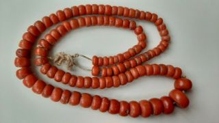 Natural Coral Beads Polished Antique Сoral Undyed,  52,  5 Grams
