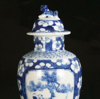Antique Chinese Blue and White Prunus Blossom Porcelain Vase & Lid KANGXI 19th C 3