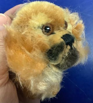Vintage Steiff 1960s " Peky " Dog Puppy Mohair 3” No Id