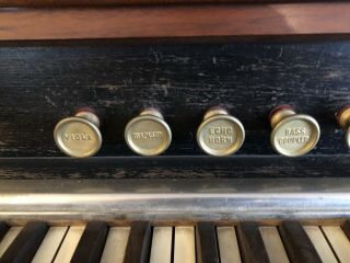 Story & Clark Reed Pump Organ 3