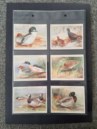 Cigarette Cards - Players - Game Birds & Wild Fowl - Full Set - Vg - Ex