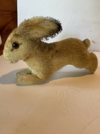 Vintage Steiff German Rabbit Bunny Hoppy 7”