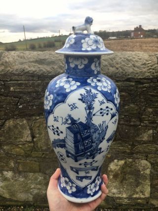 Antique Chinese Porcelain Vase Kangxi Mark Qing Blue And White Prunus Blossom 2