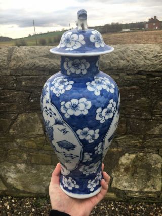 Antique Chinese Porcelain Vase Kangxi Mark Qing Blue And White Prunus Blossom 3