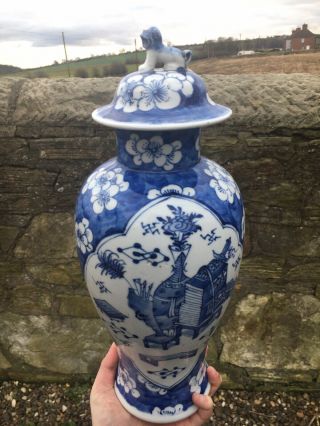 Antique Chinese Porcelain Vase Kangxi Mark Qing Blue And White Prunus Blossom 4