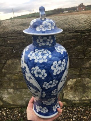 Antique Chinese Porcelain Vase Kangxi Mark Qing Blue And White Prunus Blossom 5