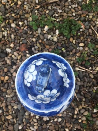 Antique Chinese Porcelain Vase Kangxi Mark Qing Blue And White Prunus Blossom 6