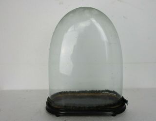 Antique Victorian Oval Hand Blown Glass Globe Dome Doll Clock 16.  02 " H 12.  40 " W