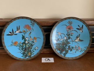 Large Vintage Chinese Cloisonne Charger Plates Hand Decorated