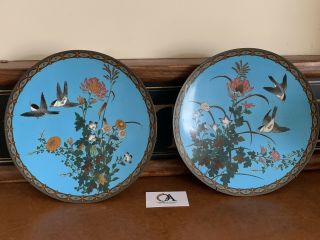 Large Vintage Chinese Cloisonne Charger Plates Hand Decorated 2