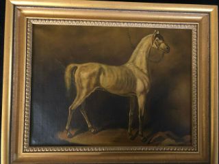 Antique 19th Century Equestrian Horse Portrait Oil Painting