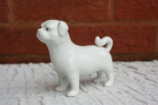 19th Century Chinese Blanc De Chine Figure Of A Dog