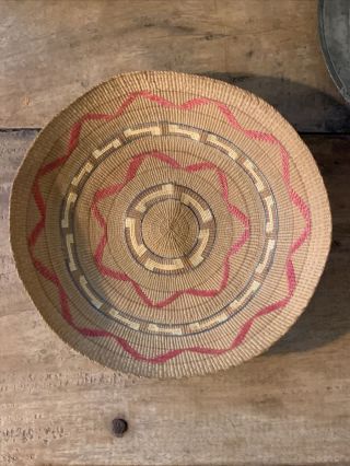 7 " Antique Alaskan Tlingit Indian Colorful Spruce Root Basket