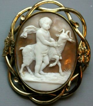 Large Antique Victorian High Relief Carved Shell Cameo Cherub / Angel & Goat.