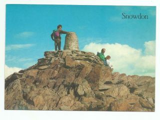 Very Rare Collectable Vintage The Summit Of Snowdon 3,  560 Feet Salmon Postcard
