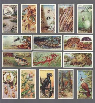 Cigarette Cards.  Lambert & Butler Tobacco.  Wonders Of Nature.  (set Of 25).  (1924)