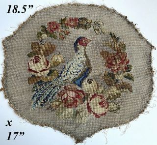 Antique Victorian Beadwork,  Needlepoint Screen Panel,  18.  5 " X 17 " With Pheasant