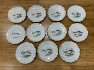 Antique Homer Laughlin China Set Of 11 Fish Plates W/ Gold Highlights
