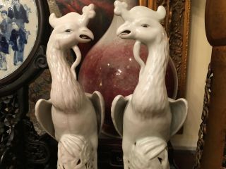 A Pair Chinese Early 20th C Blanc De Chine Porcelain Bird Statues,  Marked. 4