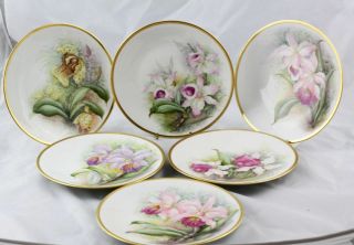 6 Antique Raynaud & Co.  Limoges Hand Painted Orchid Plates 8 - 1/2 " Artist Signed