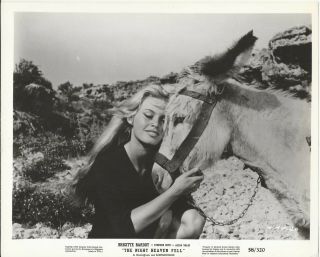 Brigitte Bardot Sexy 10x8 Vintage Still The Night Heaven Fell With Horse