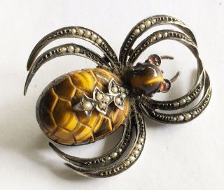 Antique Victorian Silver Spider Pin With Tiger Agate & Paerls