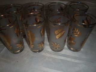 Vintage Libbey Set Of 8 Golden Foliage Frosted Bar Glasses Tumblers 1965
