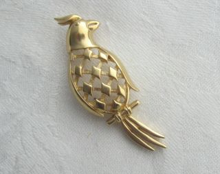 Vintage Crown Trifari Gold Tropical Bird Brooch Pierced Parrot Pin