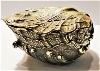 Very Fine,  Antique Ornate French 950 Silver Natural Shell - Formed Snuff Box 1880