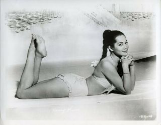Nancy Kwan Barefoot Bikini Exotic Glamour Pin Up Vintage 8x10 Photo