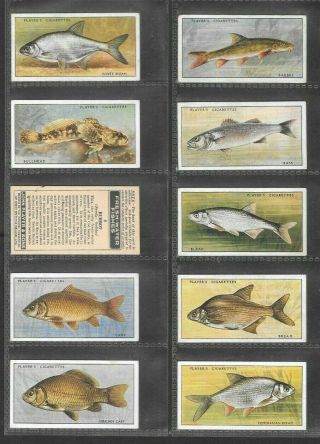 Player 1933 Interesting (fish) Full 50 Card Set  Fresh - Water Fish - Pink