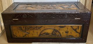 Vintage Oriental Chinese Camphor Wood Hand Carved Box Trunk Hope Chest FLAWLESS 5