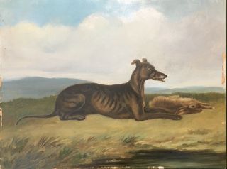 Fine Antique Oil Painting On Board Of A Greyhound Dog Portrait By F.  French