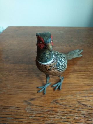 Antique large Cold painted Bronze Figure Of a Pheasant In. 2