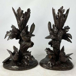 Pair,  Antique Hand Carved Black Forest Candle Holder Or Epergne Stands,  Birds