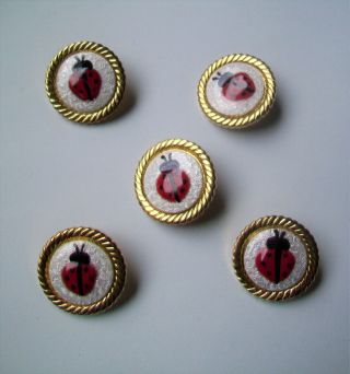 Vtg Guilloche Enamel Buttons Gold Plate Setting - Set Of 5 Red Ladybug Design